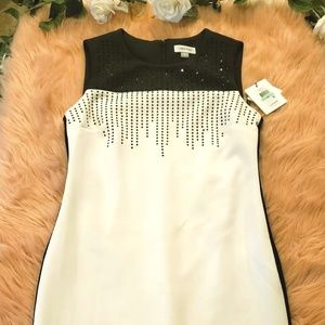 NWT Calvin Klein Scuba dress SZ 8